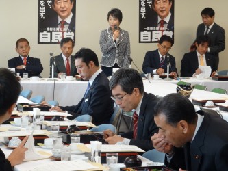 司法制度調査会キックオフ