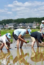 自民党米づくりプロジェクトに参加