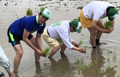 自民党米づくりプロジェクト