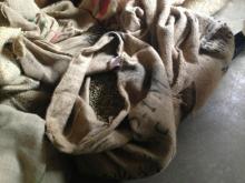 小林鷹之 オフィシャルブログ Powered by Ameba