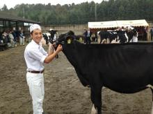 千葉県乳牛共進会